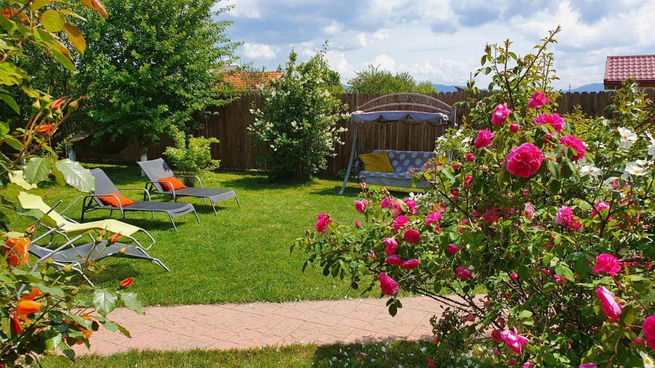 Jasmine Residence Prejmer Dış mekan fotoğraf