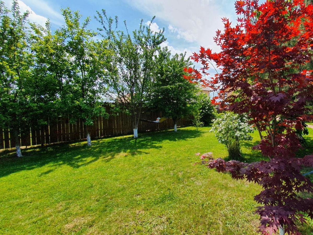 Jasmine Residence Prejmer Dış mekan fotoğraf
